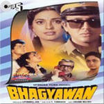 Bhagyawan (1994) Mp3 Songs